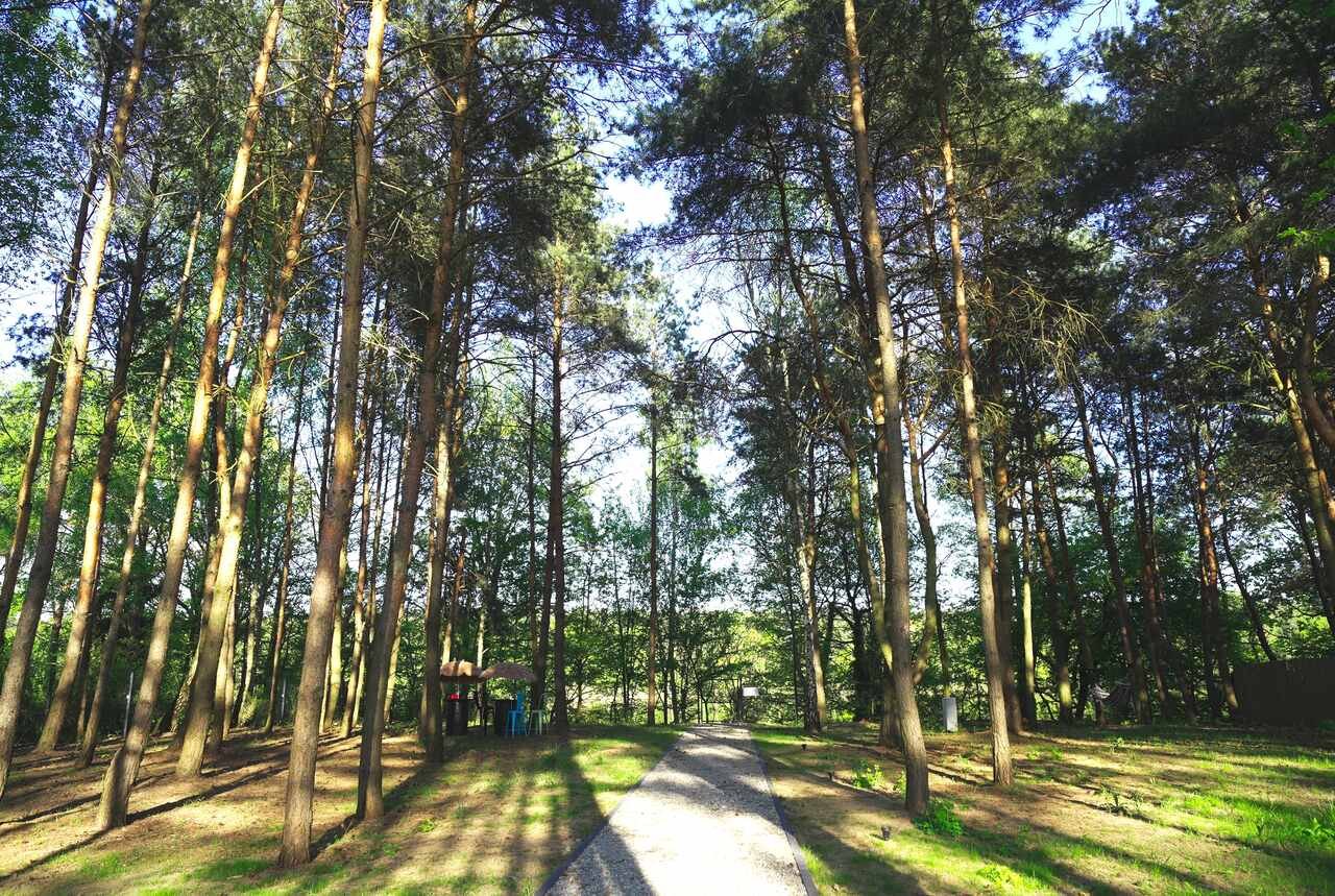 Still 2025-04-30 082530_2.107.1_Easy-Resize.com